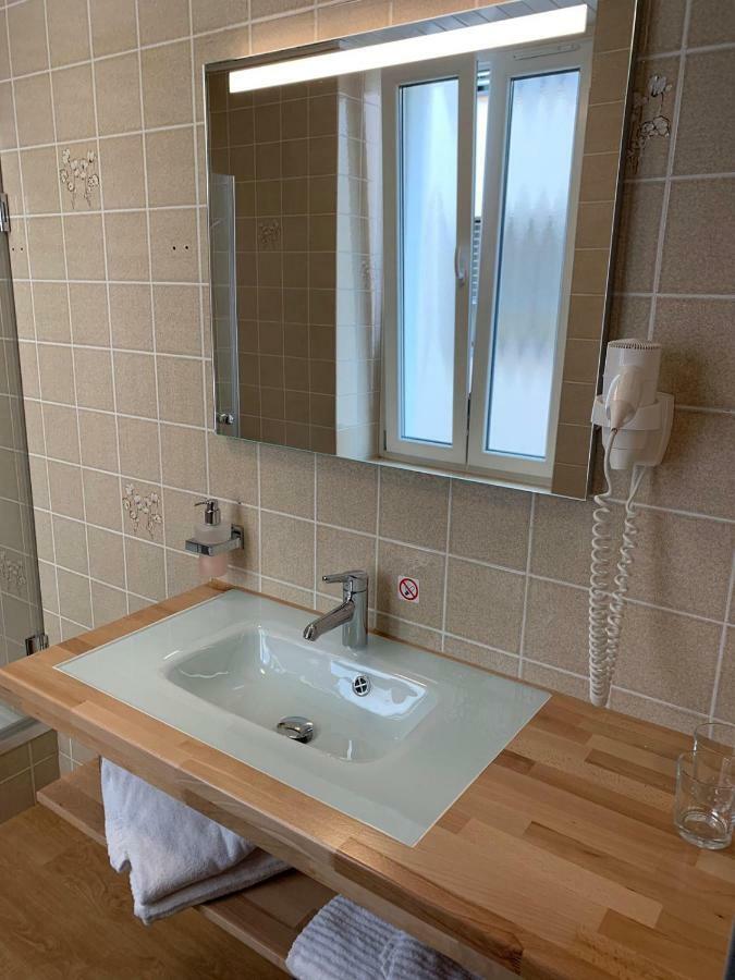 Studios With Kitchenette Birsfelden Luaran gambar